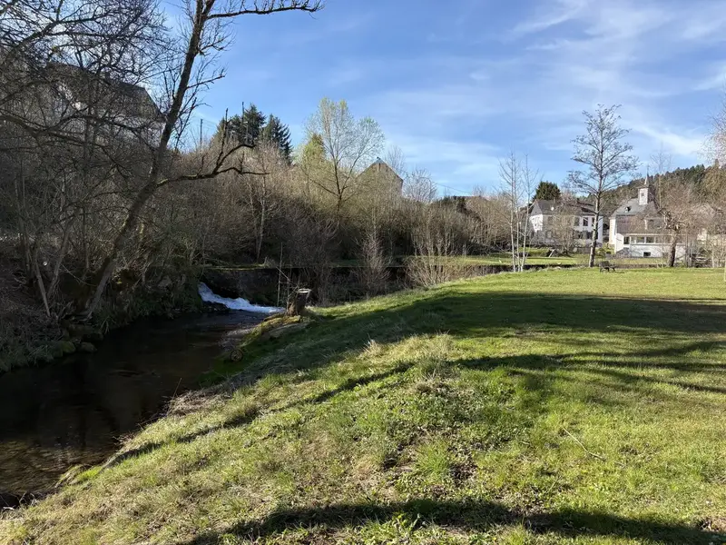 Ansicht von oben im Frühsommer